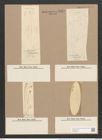 Pleurosigma angulatum strigosum (Queck.) W.Sm. (de-Toni-Nr.: Genus 13, Species 1001) Zeichnungen Sammlung Grunow Nr. 2024 (NHMW-BOT-W0368876)